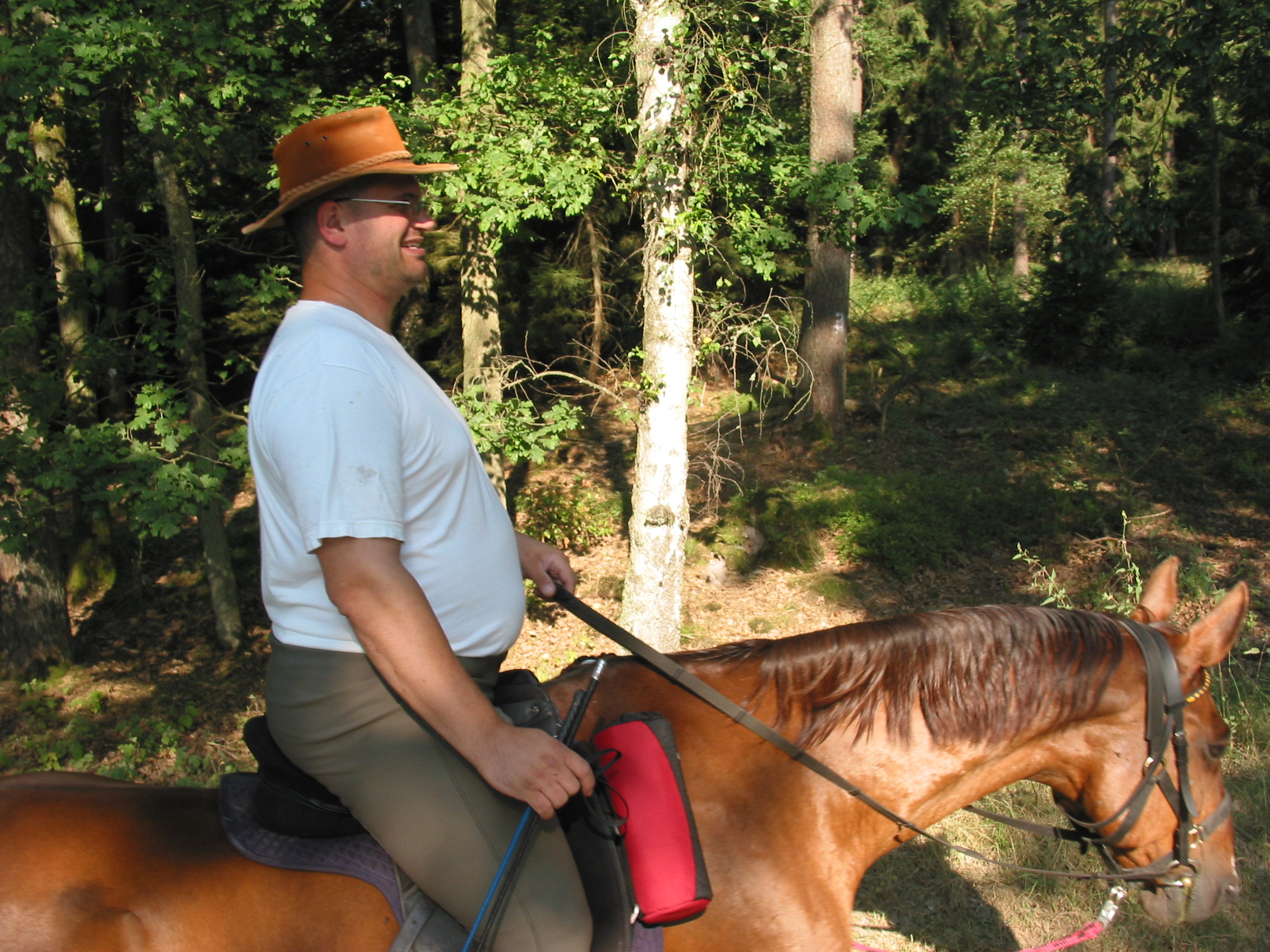 Hier geht´s weiter...